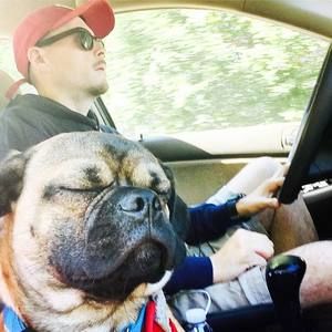 Meet your Posher, Joel